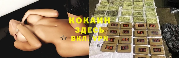 бошки Абаза