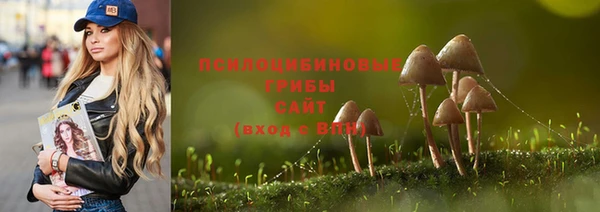 прущая мука Абинск