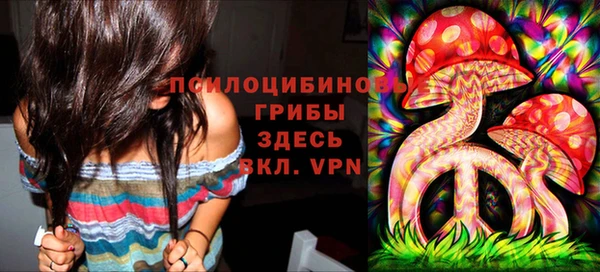 бошки Абаза