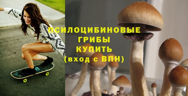 бошки Абаза