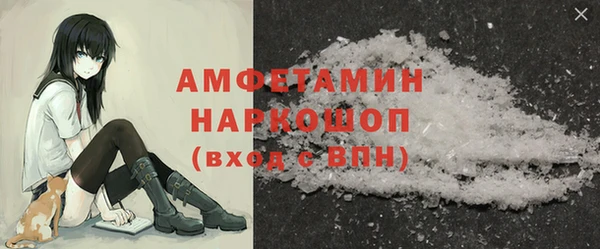 мет Алексин